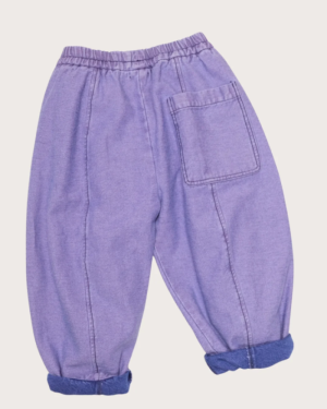 Reference : A- 121234 PURPLE